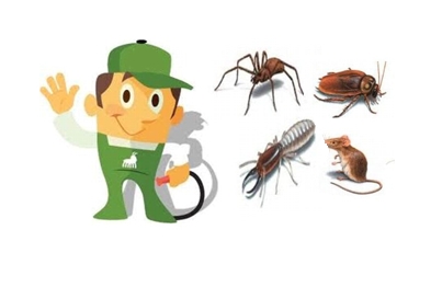 ALTINTAŞ İLAÇ KİMYA PEST KONTROL HİZMETLERİ